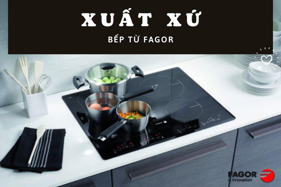 Xuất xứ của bếp từ Fagor 