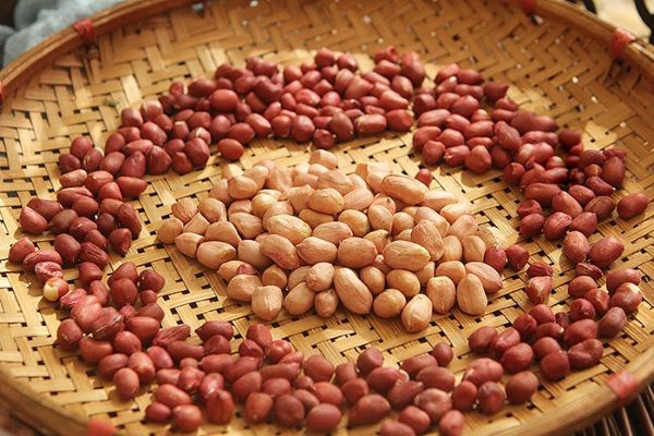 Cách chọn mua lạc - đậu phộng ngon