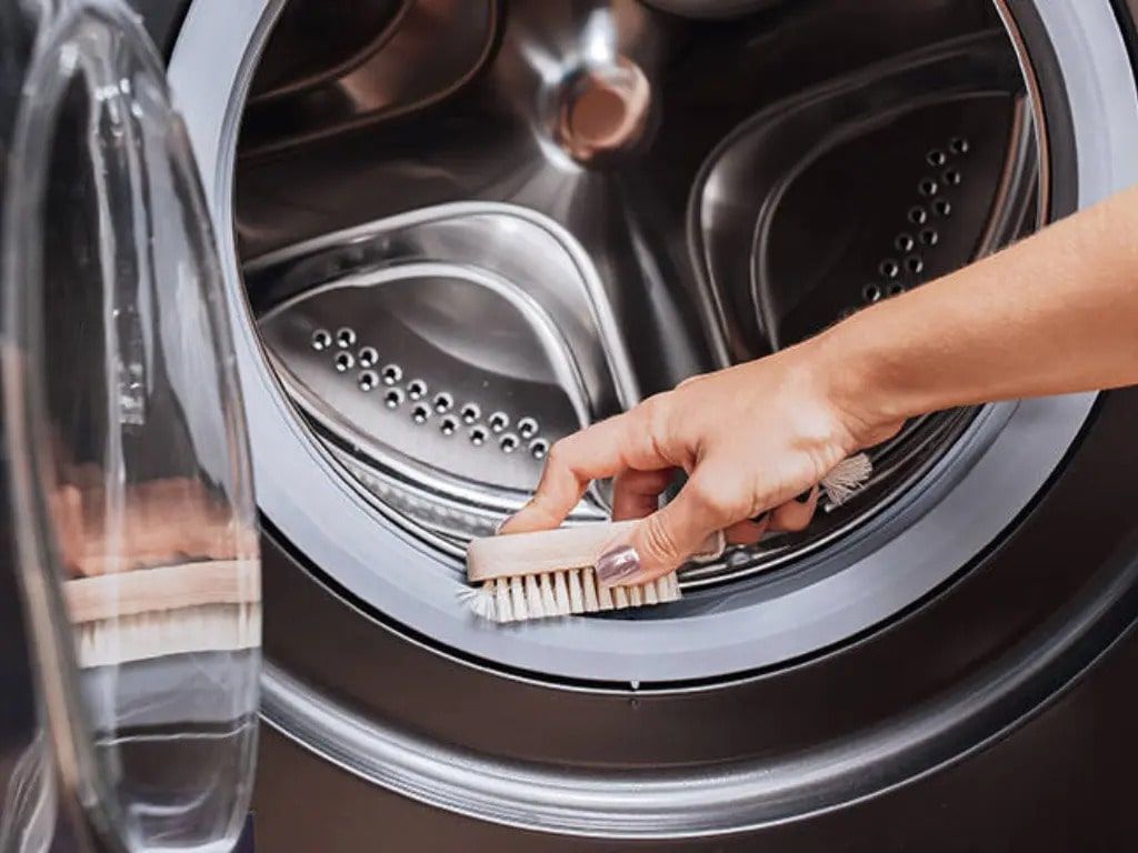 Kiểm tra gioăng cao su và lồng giặt 