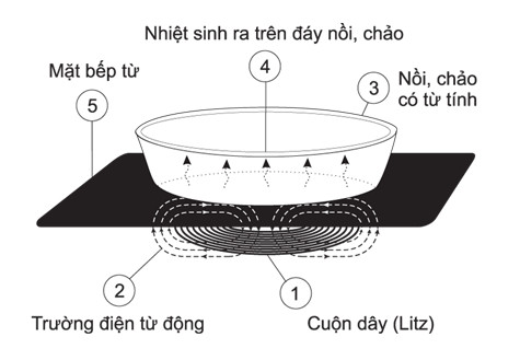 Nguyên lý hoạt động của bếp từ Hafele 