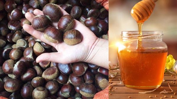 Cách nướng hạt dẻ bằng nồi chiên không dầu