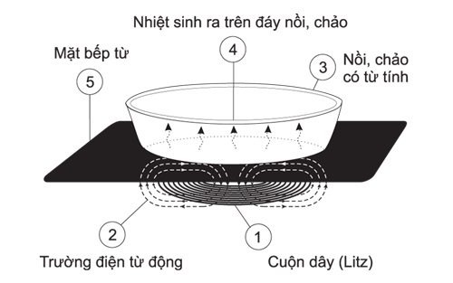 Nguyên lý hoạt động của bếp từ