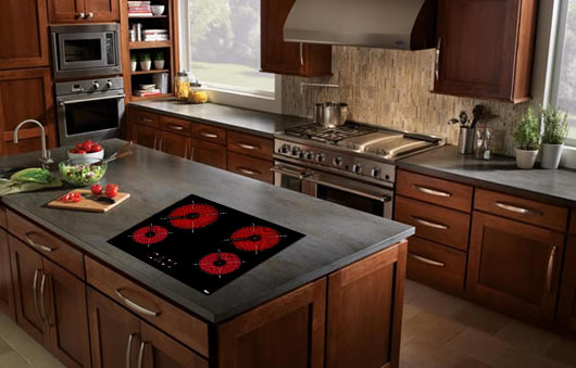 Bạn nên mua bếp điện từ hay bếp hồng ngoại cho gia đình?