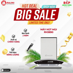 Máy hút khói khử mùi MALMO RH3890