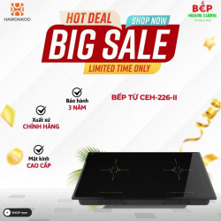 Bếp từ đôi Hawonkoo CEH-226-II