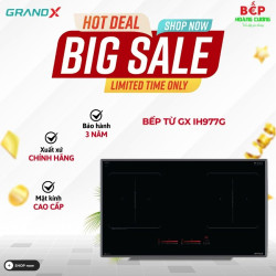 Bếp từ GrandX GX IH977G