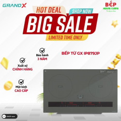 Bếp từ GrandX GX IP879JP  