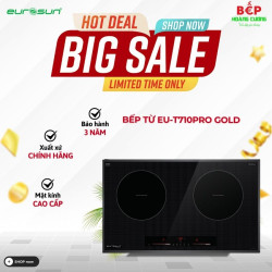 Bếp điện từ 2 vùng nấu Eurosun EU-T710Pro Gold