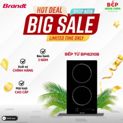 Bếp Domino 2 từ Brandt BPI6210B