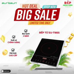 Bếp từ đơn Eurosun EU-T185S