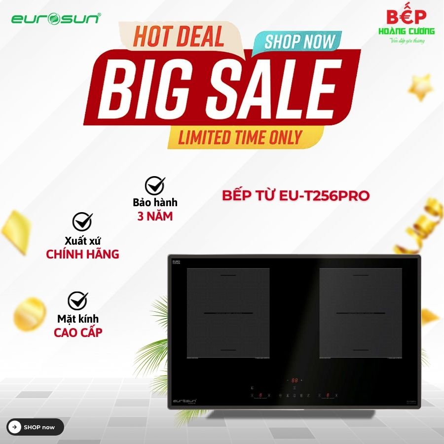 Bếp từ đôi Eurosun EU-T256Pro lắp âm