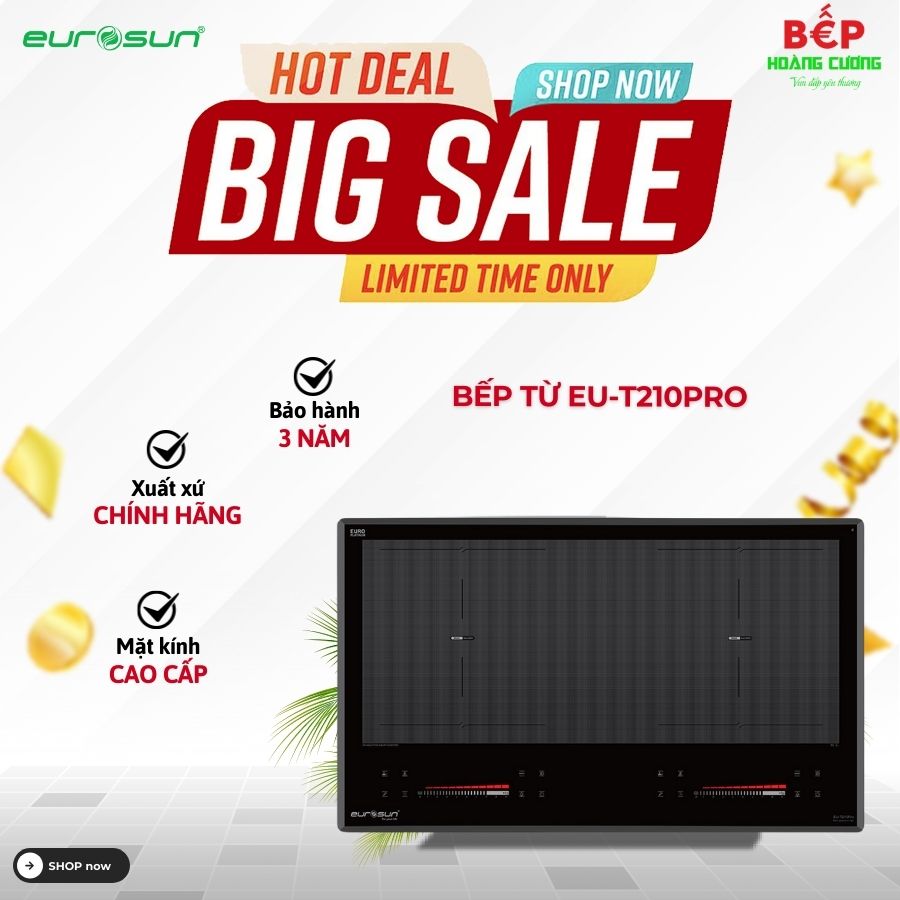 Bếp từ đôi Eurosun EU-T210Pro lắp âm 