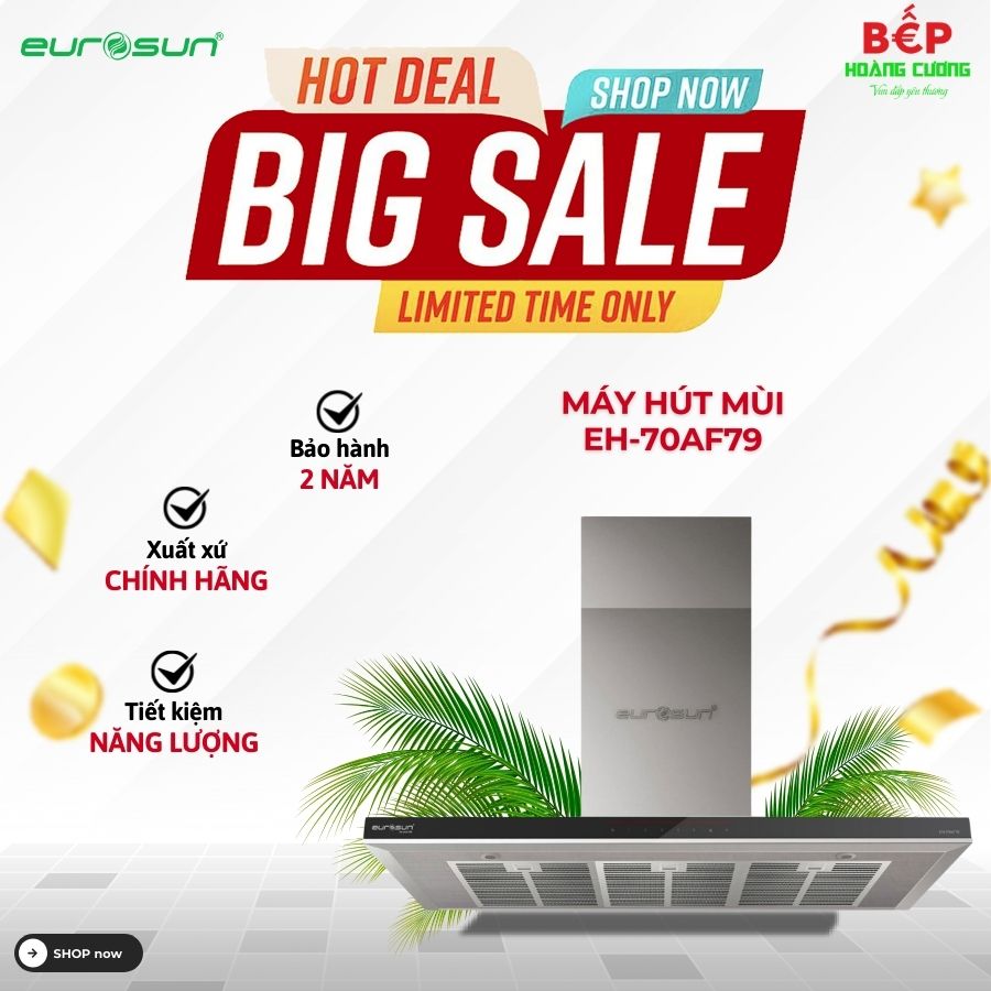Máy hút mùi áp tường tuần hoàn Eurosun EH-70AF79