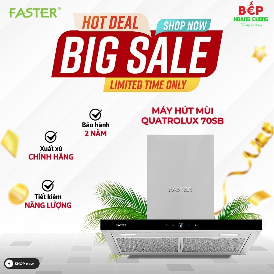 Máy hút mùi áp tường Faster Quatrolux 70SB