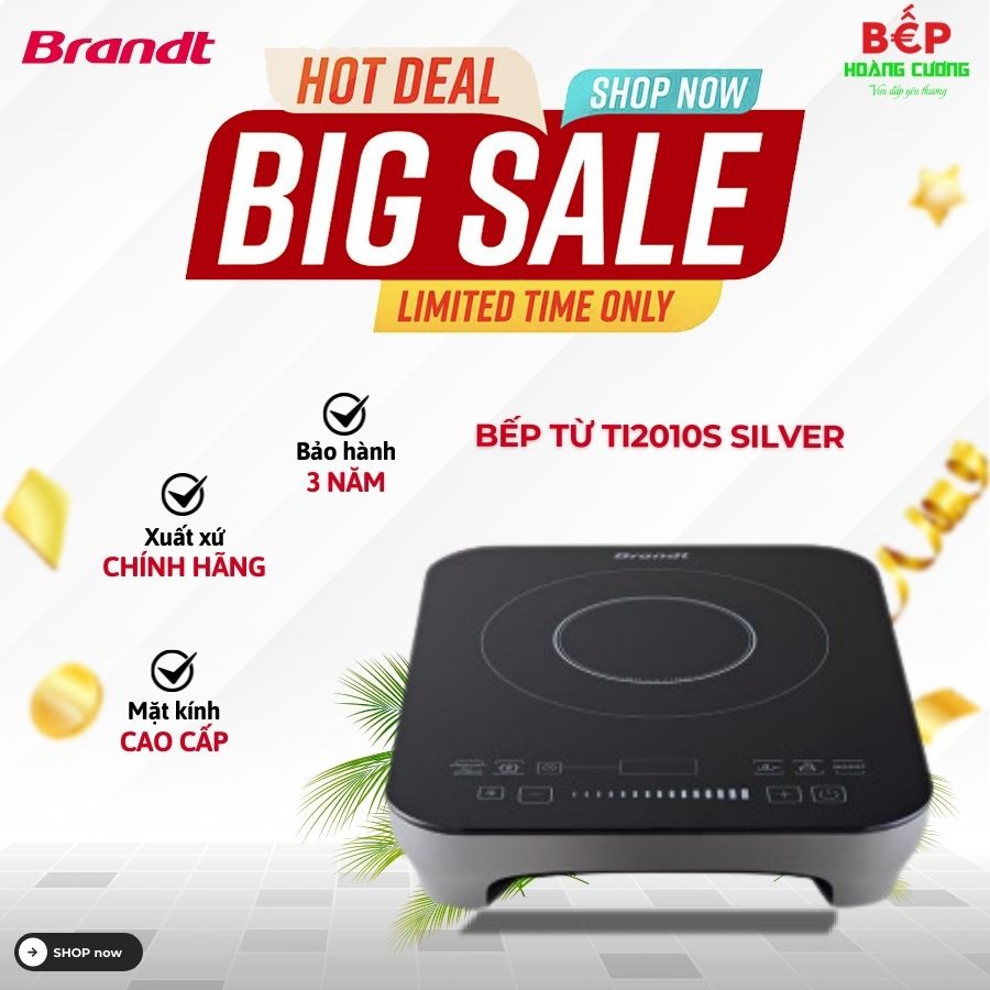 Bếp từ Brandt TI2010S Silver