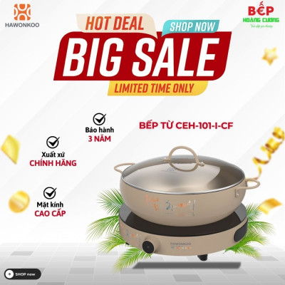 Bếp từ đơn Hawonkoo CEH-101-I-CF di động