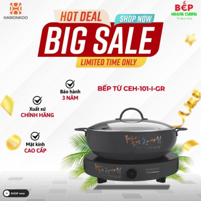 Bếp từ đơn Hawonkoo CEH-101-I-GR di động