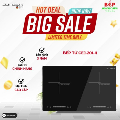 Bếp từ đôi Junger CEJ-201-II lắp âm