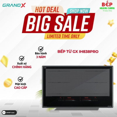 Bếp từ GrandX GX IH838Pro  