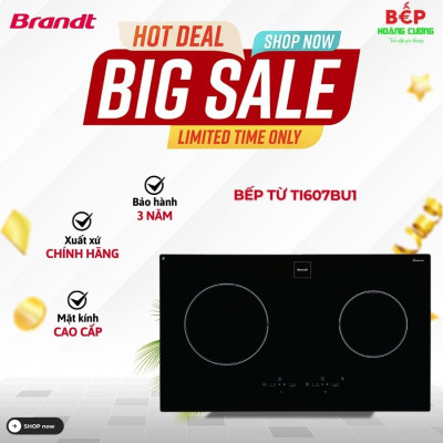 Bếp Từ Brandt TI607BU1