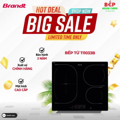 Bếp Từ Brandt TI1033B
