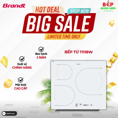 Bếp Từ Brandt TI118W