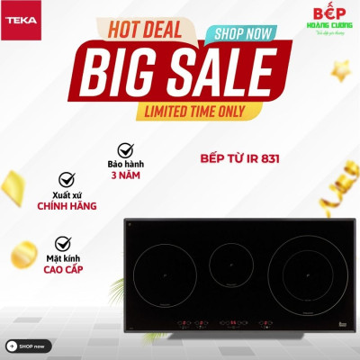 Bếp Từ Teka IR 831