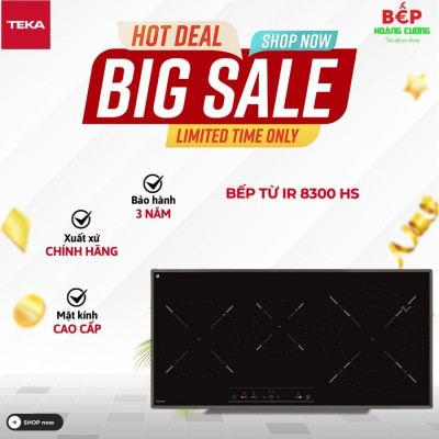 Bếp Từ Teka IR 8300 HS
