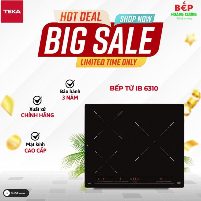 Bếp từ Teka IB 6310