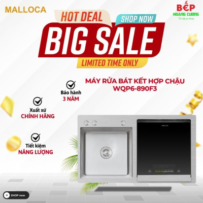 Máy rửa bát Malloca WQP6-890F3