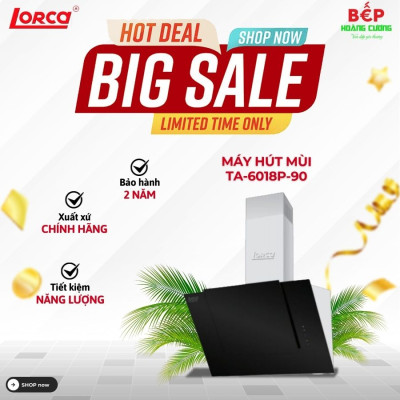 Máy hút mùi Lorca TA 6018P-90