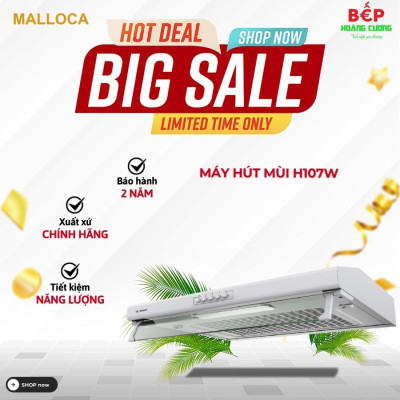 Máy hút khử mùi Malloca classic H107W