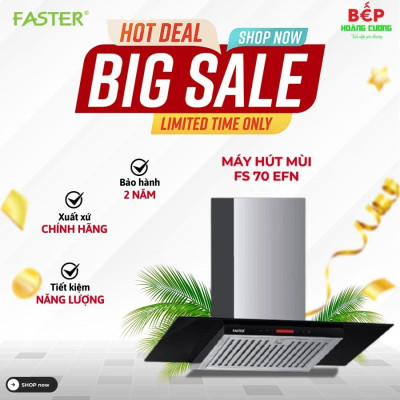Máy hút mùi Faster FS 70EFN
