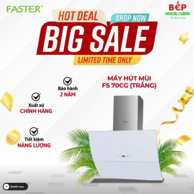 Máy hút mùi gắn tường Faster FS 70CG Trắng
