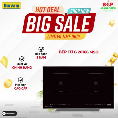 Bếp từ Giovani G 20166 MSD