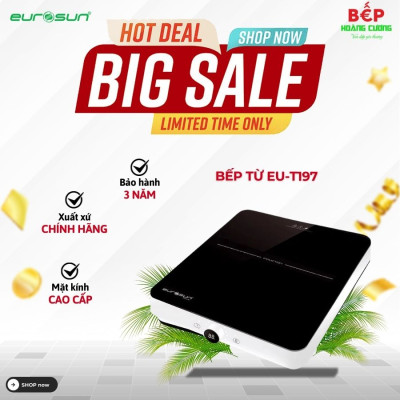 Bếp từ đơn Eurosun EU-T197