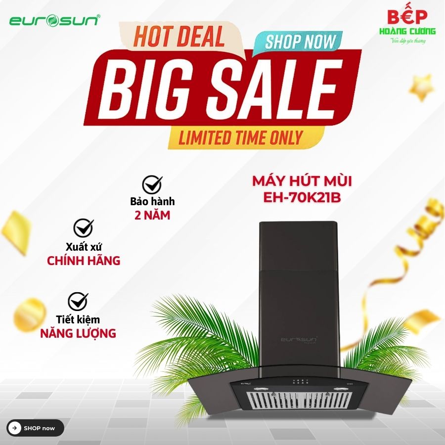 Máy hút khử mùi áp tường EUROSUN EH-70K21B