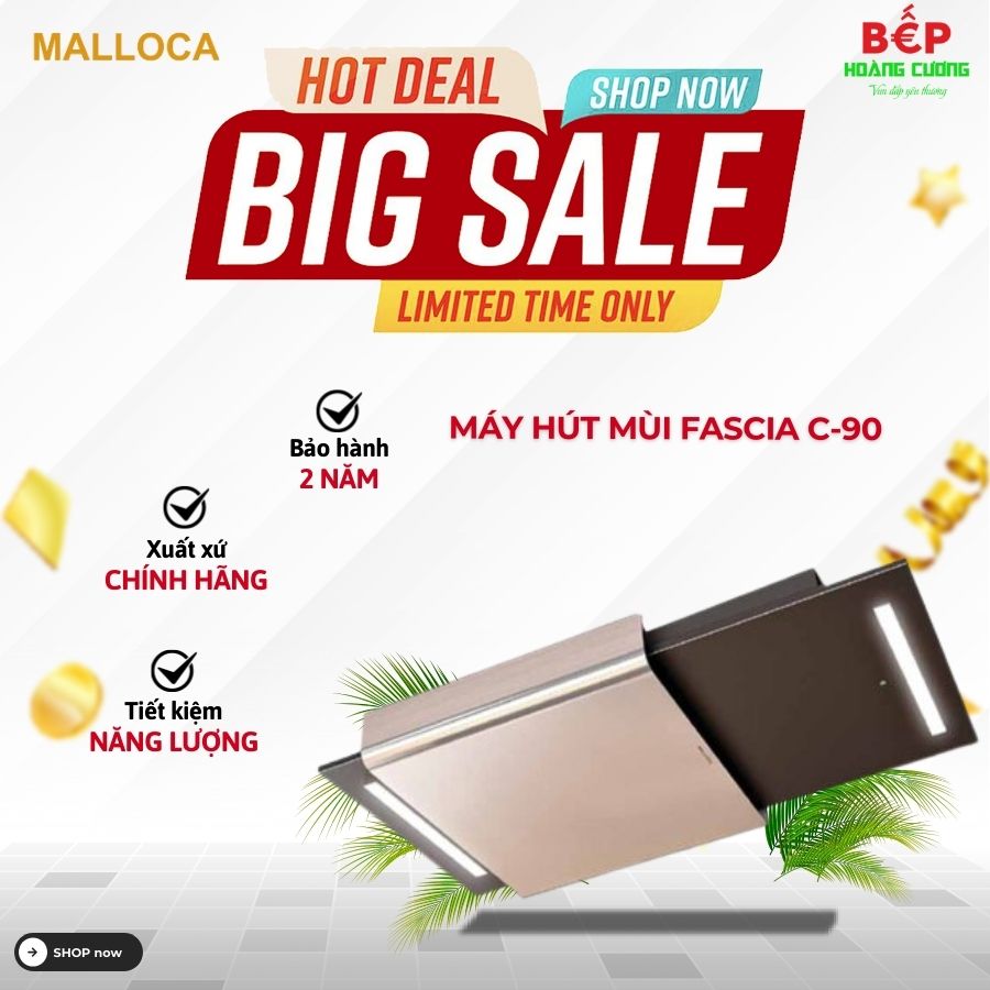Máy hút khử mùi âm trần FASCIA C-90