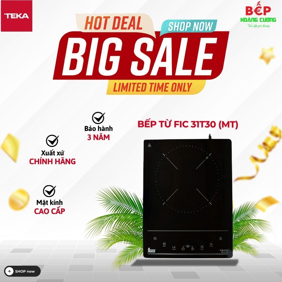 Bếp từ đơn độc lập Teka FIC 31T30 (MT) 112510005