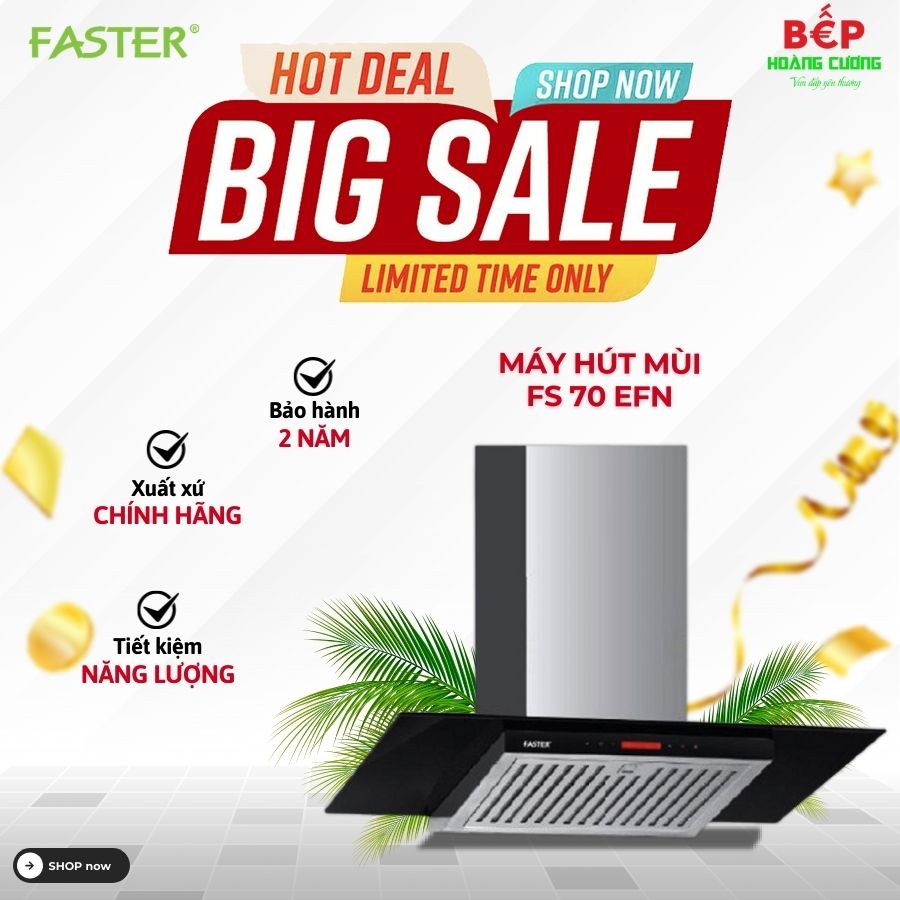 Máy hút mùi Faster FS 70EFN