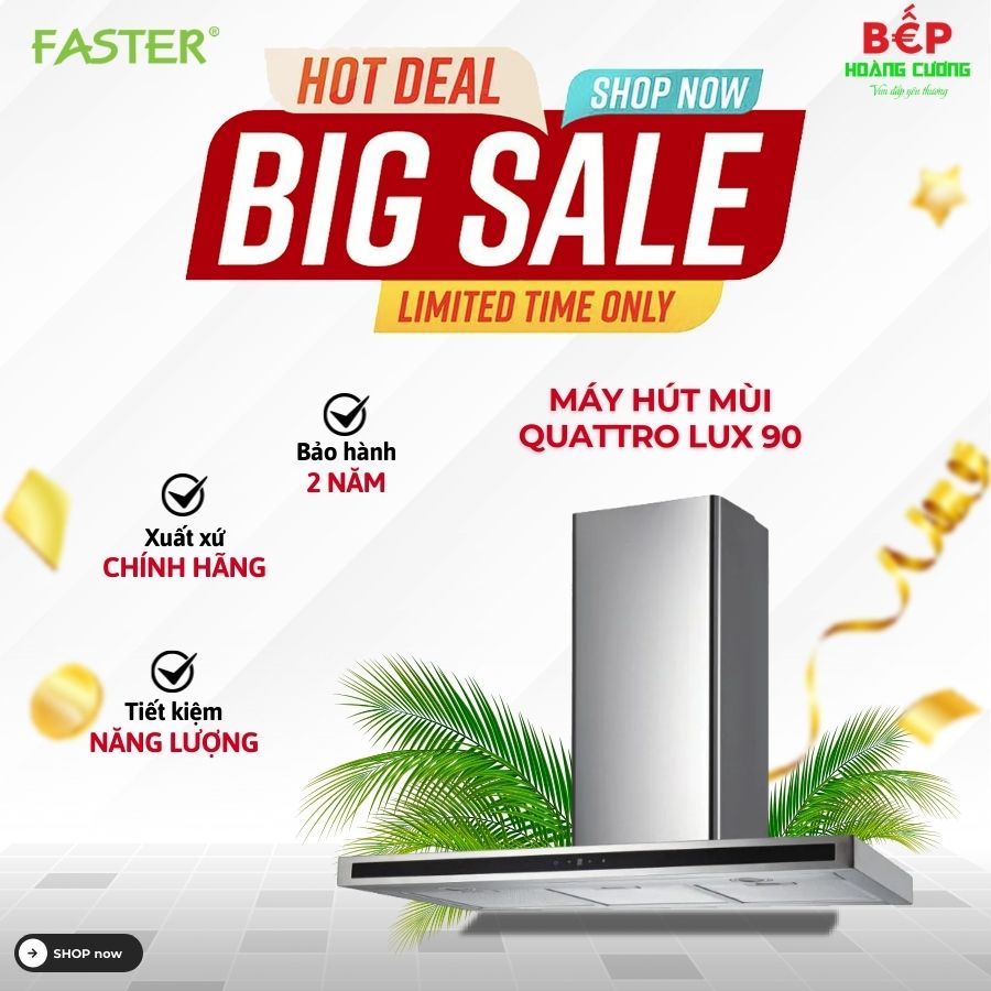 Máy hút mùi Faster Quattro Lux 90