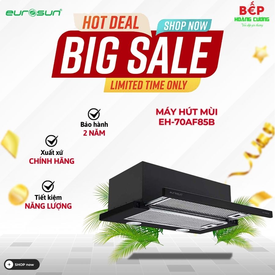 Máy hút mùi âm tủ Eurosun EH-70AF85B