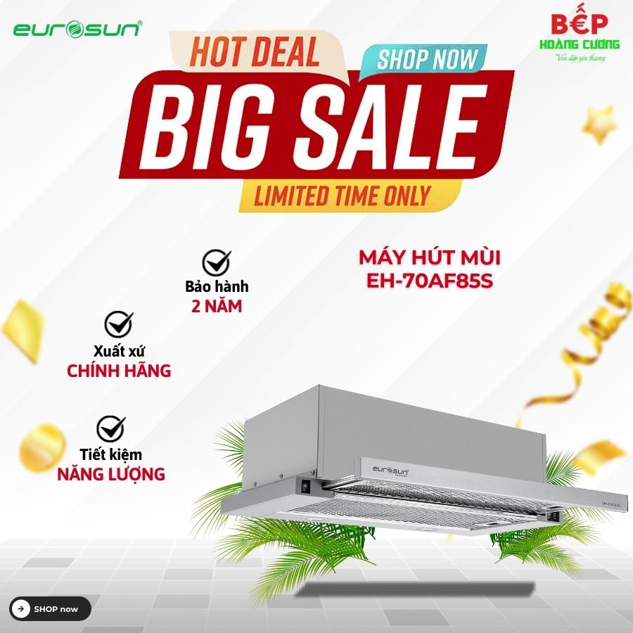 Máy hút mùi âm tủ Eurosun EH-70AF85S