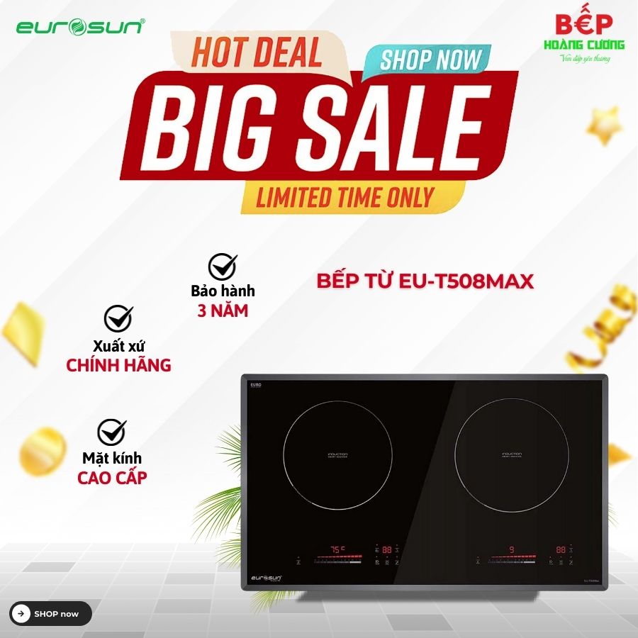 Bếp từ 2 vùng nấu Eurosun EU-T508Max