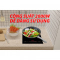 Bếp từ đơn Lorca TA 1018 PLus
