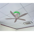 Quạt trần Gcool Copter 05 Plus R VN011402521 Nâu