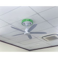 Quạt trần Gcool Copter 05 RL VN011402509 Ghi Bạc