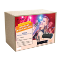 Loa Sony XG300 Portable Karaoke Kit 2 mic