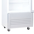 Tủ mát Sanaky 170 lít VH218KL