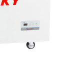Tủ Đông Sanaky VH-899KA